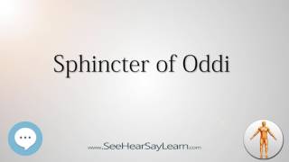 Sphincter of Oddi Anatomy Named After People 🔊 [upl. by Rise]