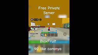 Free Private Server BloxFruit [upl. by Iolande]