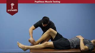 Popliteus Muscle Test Palp Dr Nikita Vizniak Muscle Manual [upl. by Soisatsana271]