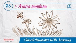 Il rimedio omeopatico Arnica montana [upl. by Neehsuan]