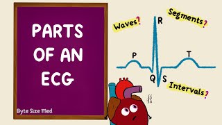 Parts of an ECG  EKG Basics  Waves Segments Intervals  Cardiac Physiology [upl. by Andrus]