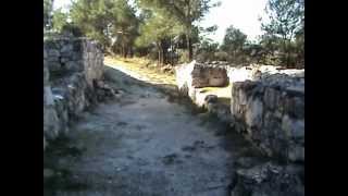 MOIXENT LA BASTIDA DE LES ALCUSSES LEGADO ÍBERO [upl. by Wilbert]