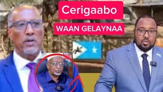 DEGDEG Ciidamada SSC oo Hanjabay kadib Daalkii Cerigaabo Dhulbahante iyo Warsangeli gudoomiyaha [upl. by Aiblis565]