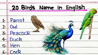 20 Birds Name in English and Hindi Pakshiyon Ke Naam  Birds Name  20 पक्षियों के नाम [upl. by Redman]