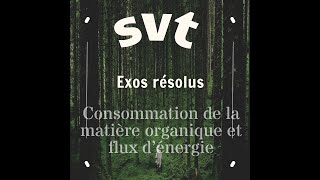 SVT Consommation de la matière organique et flux d’énergie [upl. by Maryanna]