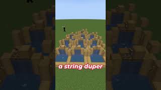 What is the best Glitch in minecraft [upl. by Rudwik]