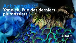 Artisanat  Yannick lun des derniers plumassiers [upl. by Aduhey]