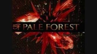 PaleForest  Exit Mold [upl. by Ozmo]