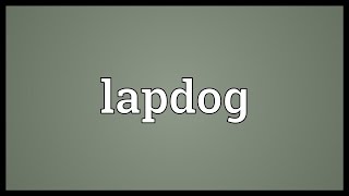 Lapdog Meaning [upl. by Seldan983]