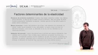 Microeconomía I  La elasticidad de la oferta y de la demanda 3  Alfonso Rosa García [upl. by Doniv]