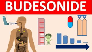 Budesonide  Mechanism side effects precautions amp uses [upl. by Eberto283]