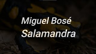 Miguel Bosé  Salamandra letra [upl. by Arlinda]