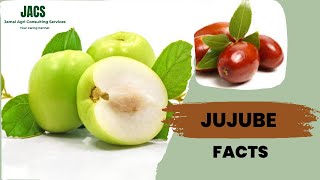 Jujube Facts Ziziphus jujuba Facts [upl. by Sueddaht]