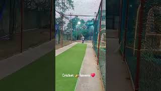 cricketenthusiast 💝 cricket cricketfan cricricketlover 😨😨 [upl. by Koblick]