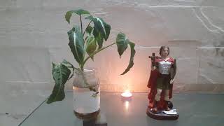 Saint Expedite Chanting in Hindi [upl. by Rubio]