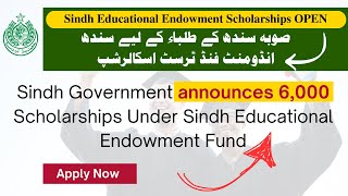 Sindh Endowment Fund Trust Scholarship  How To Apply Online For SEEF Scholarship 2024  SEEF [upl. by Rundgren703]