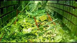 Forklift Driver Messes Up The Warehouse [upl. by Nathanael]