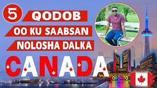 5 ARIMOOD OGOW INTAADAN CANADA IMAAN [upl. by Dempster949]