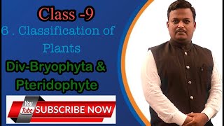 Class9Classification of plants DivBryophyta amp Pteridophyta [upl. by Edmee514]