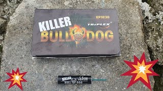 TRIPLEX  Killer Bull Dog🧨 [upl. by Okoy361]