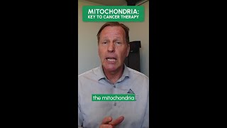 Mitochondria Key to Cancer Therapy [upl. by Noillid605]