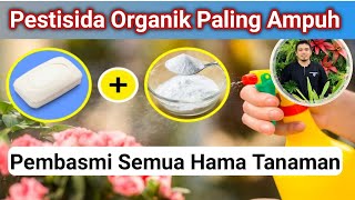 Pestisida Organik Paling Kuat Untuk Semua Hama Tanaman Cara Membuat Pestisida Organik Paling Ampuh [upl. by Webb]