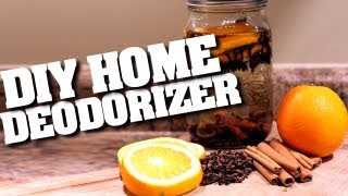 DIY Home Deodorizers How to Make a Home Deodorizer amp Keep Your Home Clean amp Fresh Clean My Space [upl. by Castara]