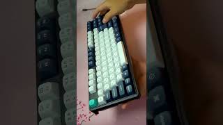 【最安日本語配列ガスケット】Keychron C3 Pro キーボード開封ショートレビュー keyboard keychron amazon [upl. by Disraeli197]