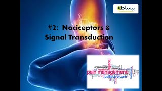 Nociceptors amp Pain Signal Transduction [upl. by Tem]