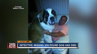 Missing 202pound St Bernard found dead [upl. by Neetsuj]