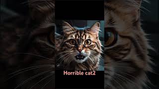 Horrible cat2 [upl. by Juditha]