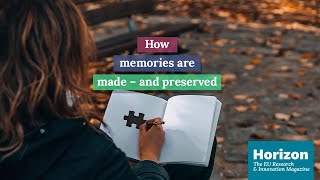 How memories are made – and preserved [upl. by Ocirrej966]