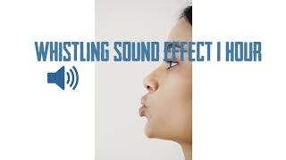 WHISTLING SOUND EFFECT 1 HOUR [upl. by Johns]