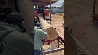 White Oak Cut Into 2x9’s  Cooks AC36 sawmill [upl. by Adnamas]