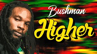 Bushman Higher mp4 [upl. by Auqemahs]