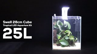 EASY Fish Tank SetUp Guide for Beginners Swell 28cm Cube Tropical LED Aquarium Kit 25L [upl. by Lalage]