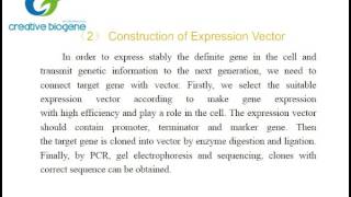 Gene overexpression protocol Creative Biogene [upl. by Nortal328]