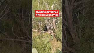 JAVELINA Hunt With BRAYDON PRICE [upl. by Farnham]