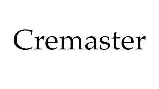 How to Pronounce Cremaster [upl. by Prior]