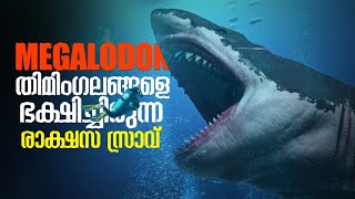 Megalodon എന്ന രാക്ഷസ ജീവിക്ക് സംഭവിച്ചതെന്ത്  ലോകത്തിലെ ഏറ്റവും വലിയ കൊലയാളി മൽസ്യം  Shark [upl. by Leinahtan]