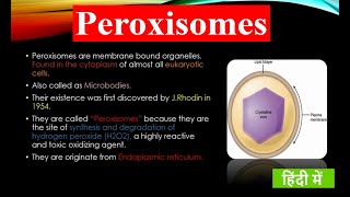 What is Peroxisome   Structure and Functions  Cell Organelles  Fundamental Unit of Life [upl. by Rokach]