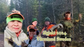 Älgjakt Varmland Sweden  moose hunting at Varmland Sweden Oktober 2024  Maribeth Flores [upl. by Iblok]