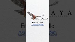 Emilio Carrillo LA LUZ BLANCA 🦅 [upl. by Borchert]