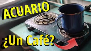 Signo Acuario ♒ Vamos a tomarnos un café ☕ [upl. by Ansilme]