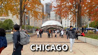 Autumn in Chicago  Michigan Avenue  The Magnificent Mile  Sunday Walk  November 10 2024  4k [upl. by Epstein]