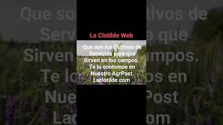 La ClotildeWeb ComunicacionAgropecuaria Cultivos [upl. by Schlenger]