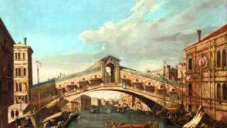 Vivaldi quot Concerto D Major RV 392quot for Viola dAmore 1 Mov [upl. by Gloriane69]