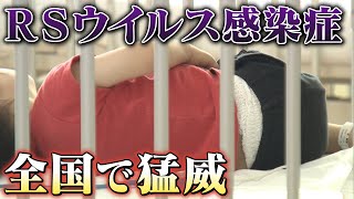 【子育て応援】「RSウイルス感染症」流行 症状や注意点 子どもがなったときの対処法は？ 子育て応援番組「ＡＢＣこどもの部屋」【YouTube限定】 [upl. by Pergrim873]