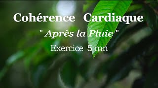 Cohérence cardiaque exercices quotAprès la Pluiequot n°105 [upl. by Mina242]