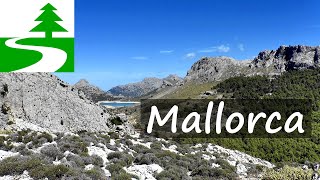 Die schönsten Wanderungen auf Mallorca [upl. by Yttik]